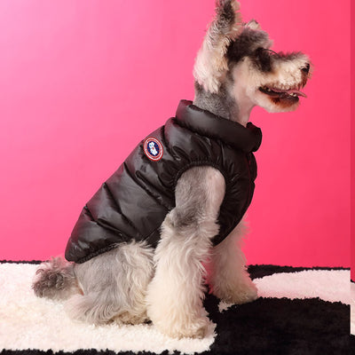 Black Dog Down Jacket Posh Vest