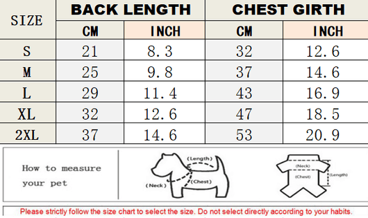 Designer Cat Adorable Clothes