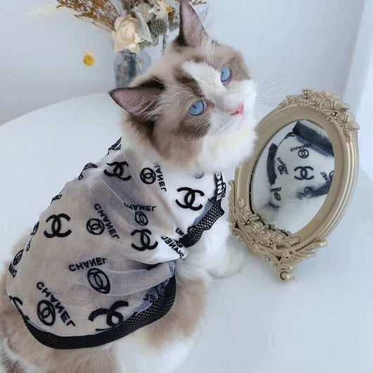 Designer Cat Adorable Clothes