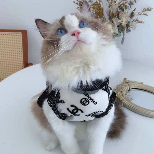 Designer Cat Adorable Clothes
