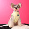 Down Pink Yellow Edgy Jacket For Dog