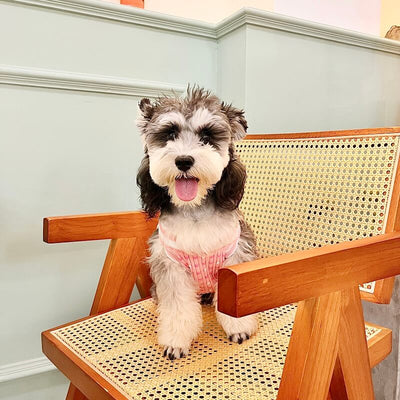 Pink Dog Vintage Sweater