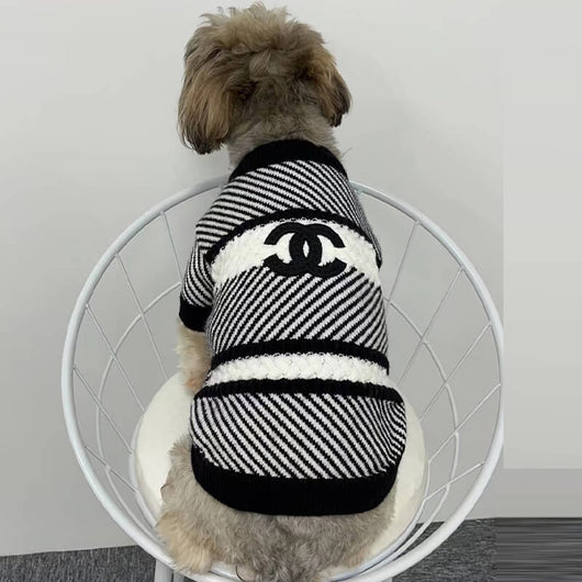 Dog Next Sweater