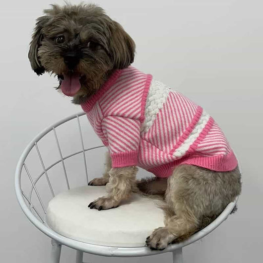 Dog Next Sweater