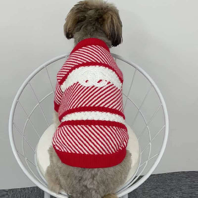 Dog Next Sweater
