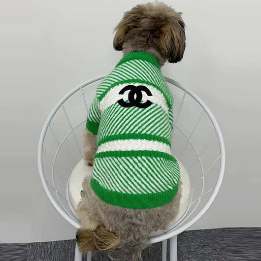 Dog Next Sweater