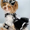 Cute Small Dog Heritage Clothes