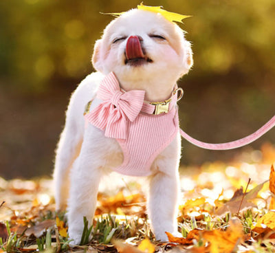 Queeny piece Onyx Set