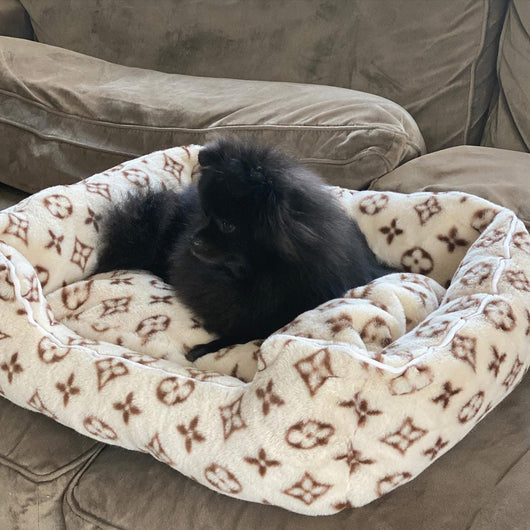 LV Cozy Dog Dope Bed