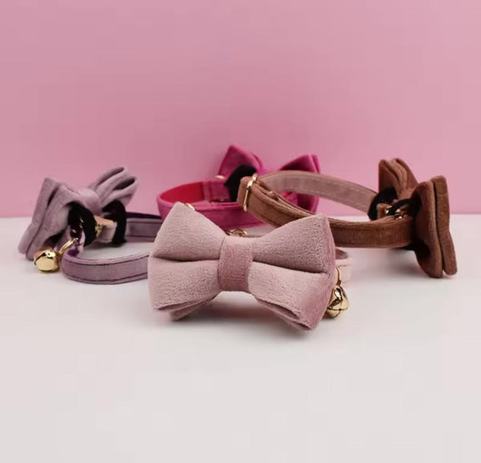 Velvet Charme Collars And Bow Fresh Ties