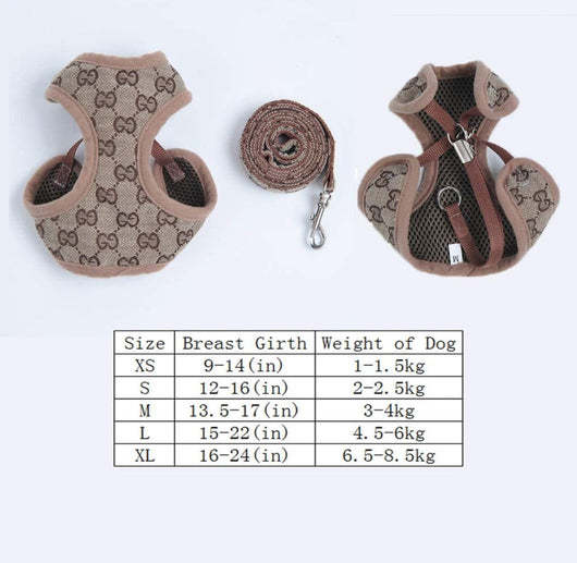 GG Harness & Leash Fire Set