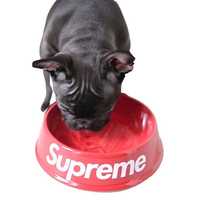 Premium Whimsical Bowl