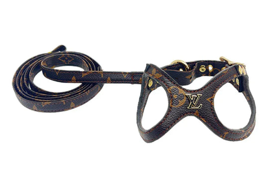 Chowchow High Quality Leather Harness & Leash Prime Set