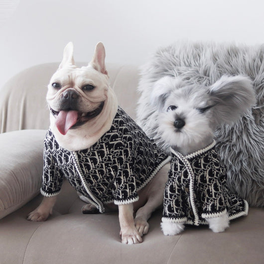 Dog Coats For Warped Winter