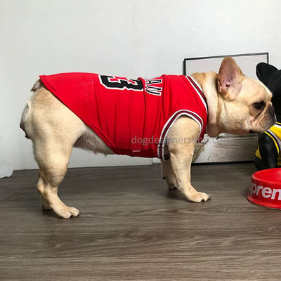 Red Dog Basketball Sleek Jersey