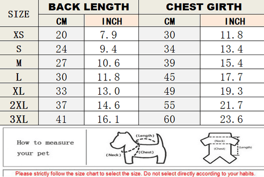 Dog Bold Chic Clothes