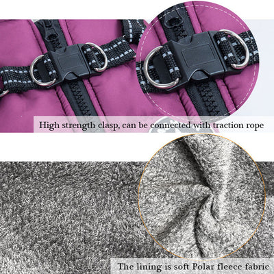 Moncler Designer Dog Harness Coat Bundle