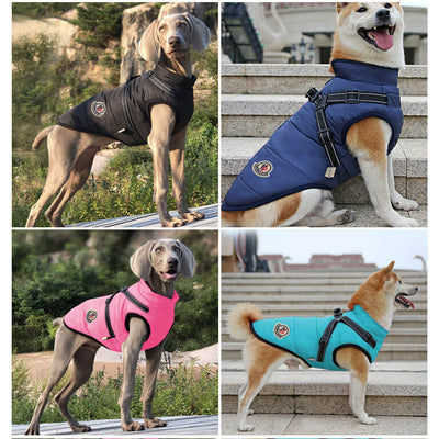 Moncler Designer Dog Harness Coat Bundle