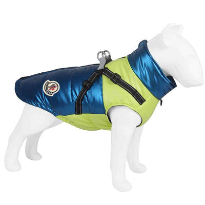 Dog S Onyx Jacket