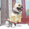 Glossy Dog Warped Jacket