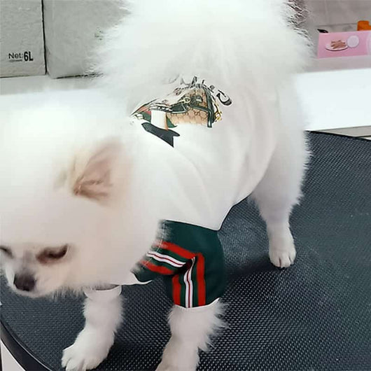 Dog Baseball Icy Coat