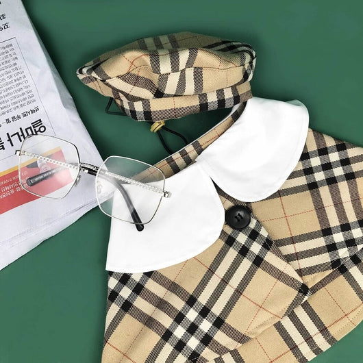 Dog Shawl Coat And Posh Hat