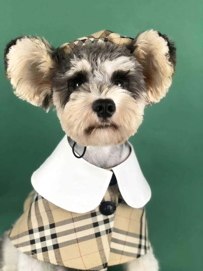 Dog Shawl Coat And Posh Hat