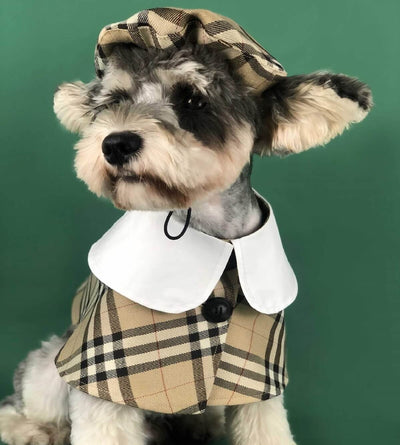 Dog Shawl Coat And Posh Hat