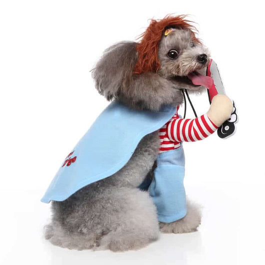 Dogs In Funny Heritage Costumes