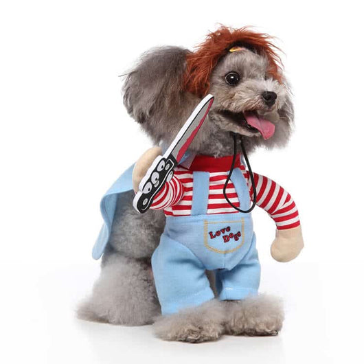 Dogs In Funny Heritage Costumes
