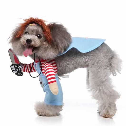 Dogs In Funny Heritage Costumes