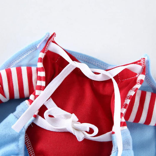 Dogs In Funny Heritage Costumes