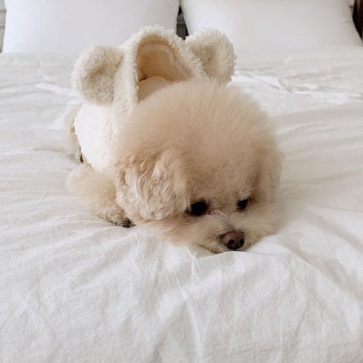 Softy Bear Fleece Dog Fresh Vest