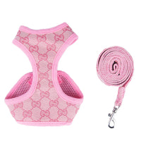 Bella Harness & Leash Warped Set