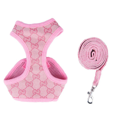 Bella Harness & Leash Warped Set