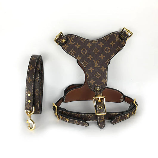 LV Hero Harness & Leash Edgy Set