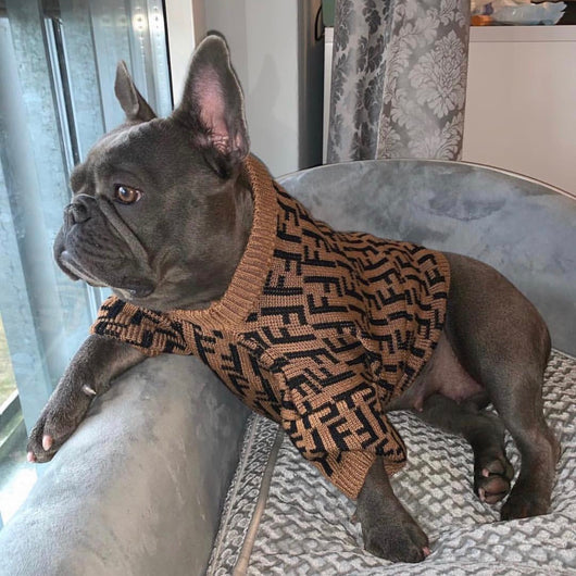 FF Fabulous Fashion Doggo Prime Sweater