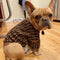 🧶 Fabulous Fashion Doggo Prime Sweater