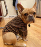 🧶 Fabulous Fashion Doggo Prime Sweater