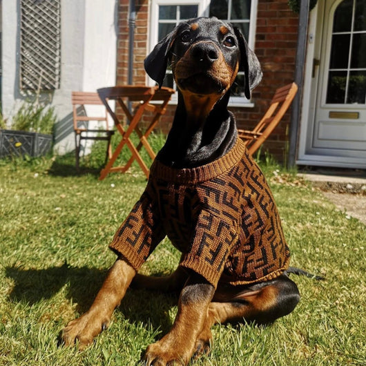 FF Fabulous Fashion Doggo Prime Sweater