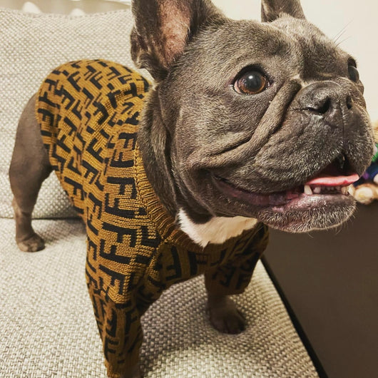 FF Fabulous Fashion Doggo Prime Sweater