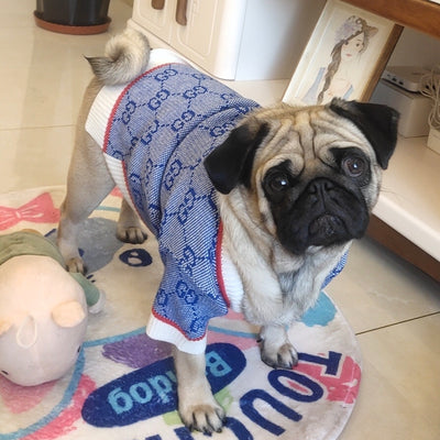 GG Wool Blue Hot Cardigan