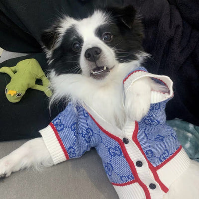 GG Wool Blue Hot Cardigan