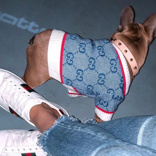 GG Wool Blue Hot Cardigan