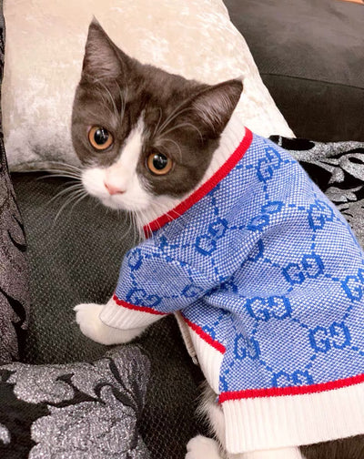 GG Wool Blue Hot Cardigan