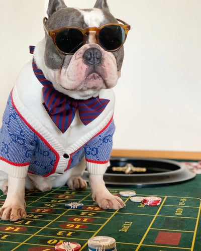 GG Wool Blue Hot Cardigan