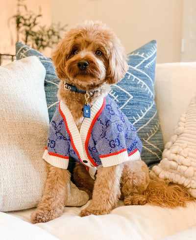 GG Wool Blue Hot Cardigan