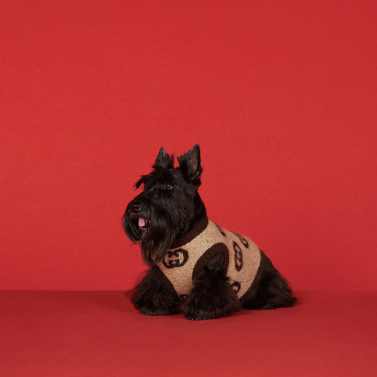 GG Wool Blend Sweet Sweater