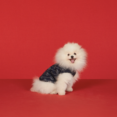 GG Wool Cashmere Dusty Sweater