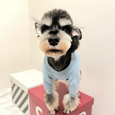 Doggo Winter Warm Designer Icy Sweater